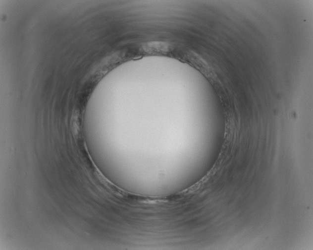 X0000084520323200702231141