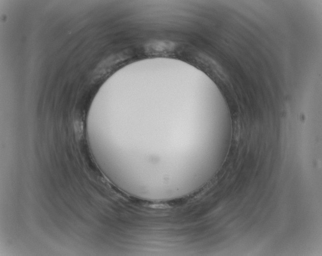 X0000084520324200702231141