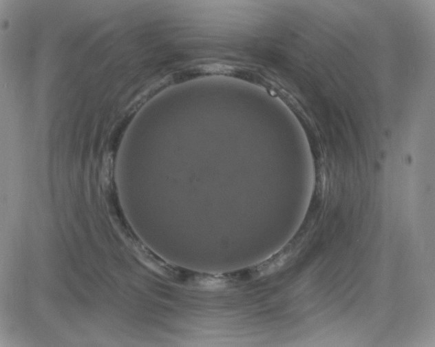 X0000084520325200702231141