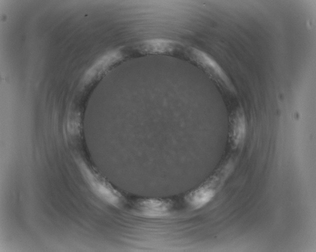 X0000084520326200702231141