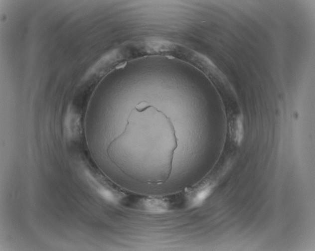 X0000084520327200702231141