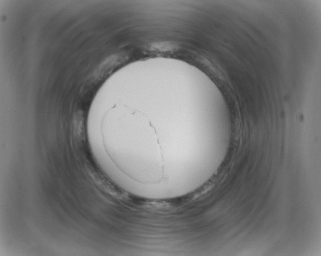 X0000084520328200702231141