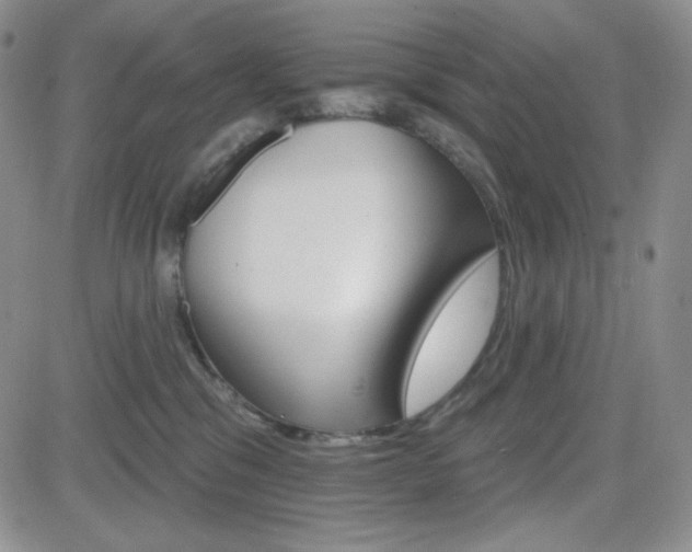 X0000084520329200702231141