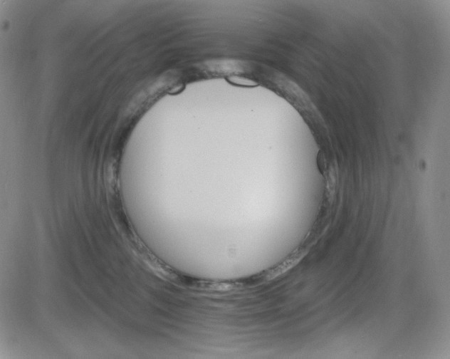 X0000084520330200702231141