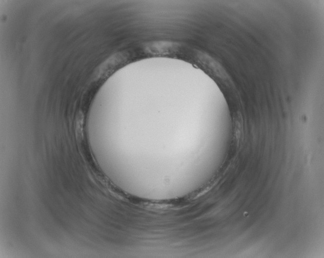 X0000084520332200702231141