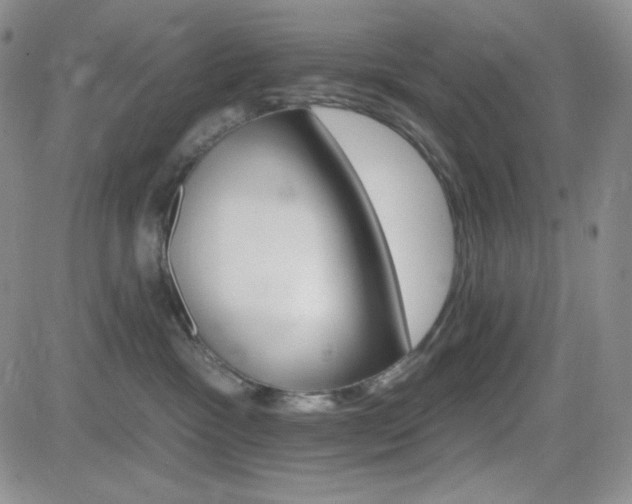 X0000084520333200702231141