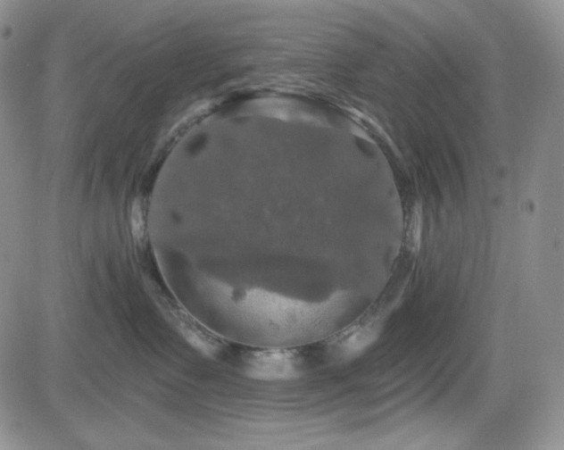 X0000084520335200702231141