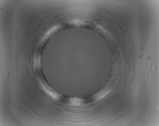 X0000084520336200702231141