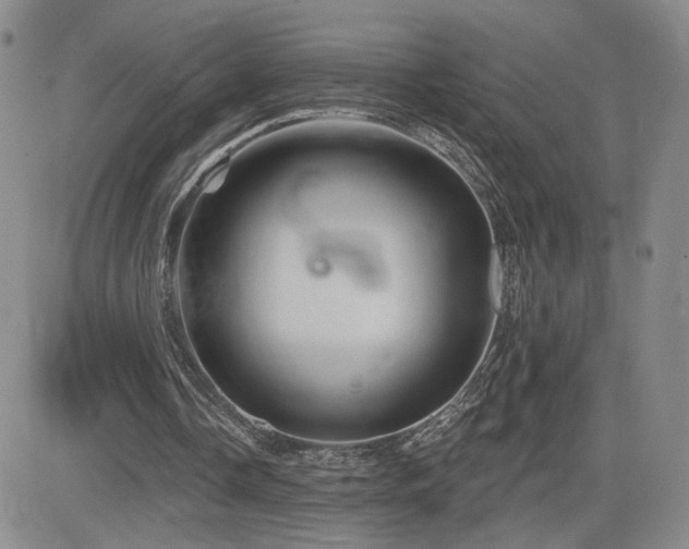 X0000084520338200702231140