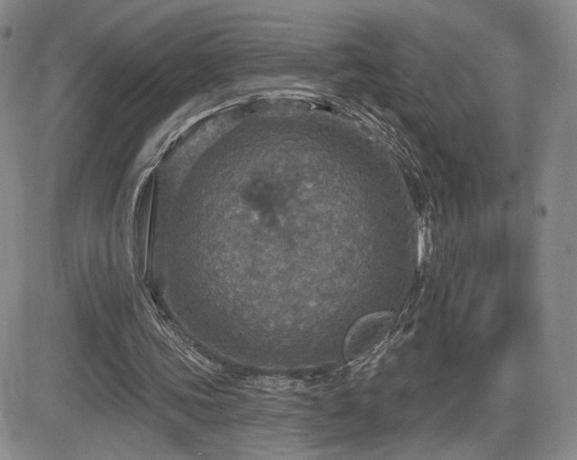 X0000084520339200702231140