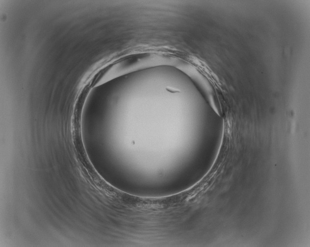 X0000084520340200702231140