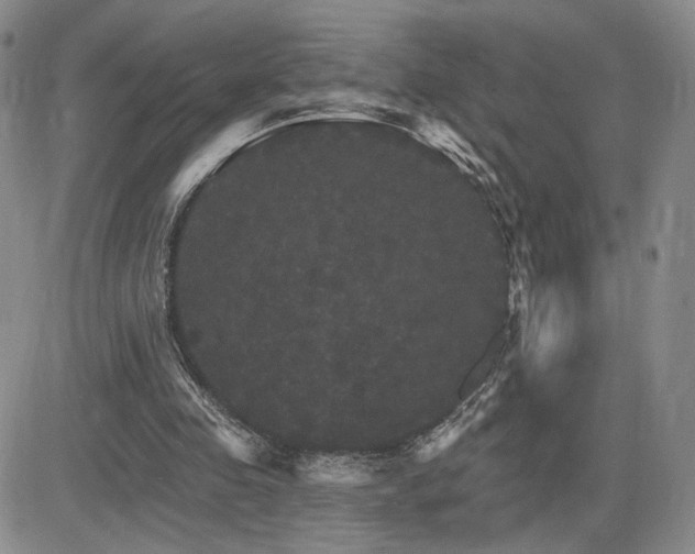 X0000084520341200702231140