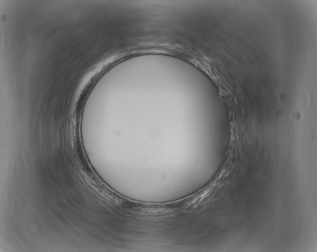 X0000084520342200702231140