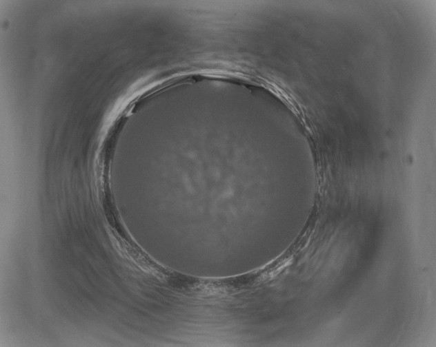 X0000084520343200702231140