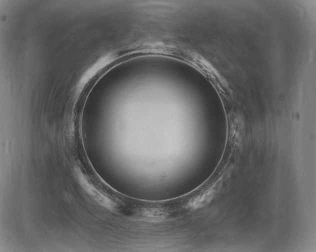 X0000084520344200702231140