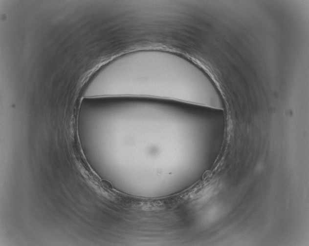 X0000084520345200702231140