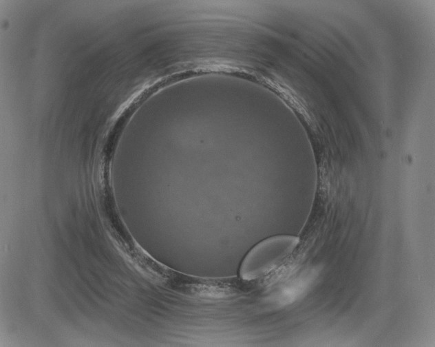 X0000084520347200702231140