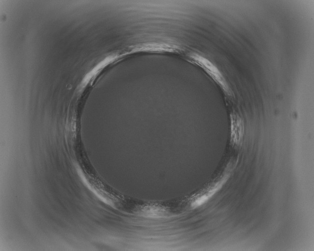 X0000084520348200702231140