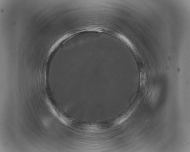 X0000084520349200702231140