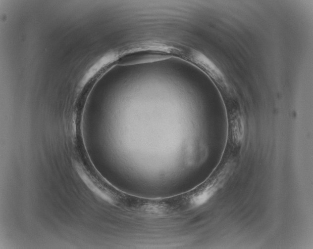 X0000084520350200702231140