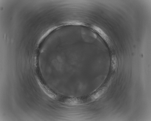 X0000084520351200702231140