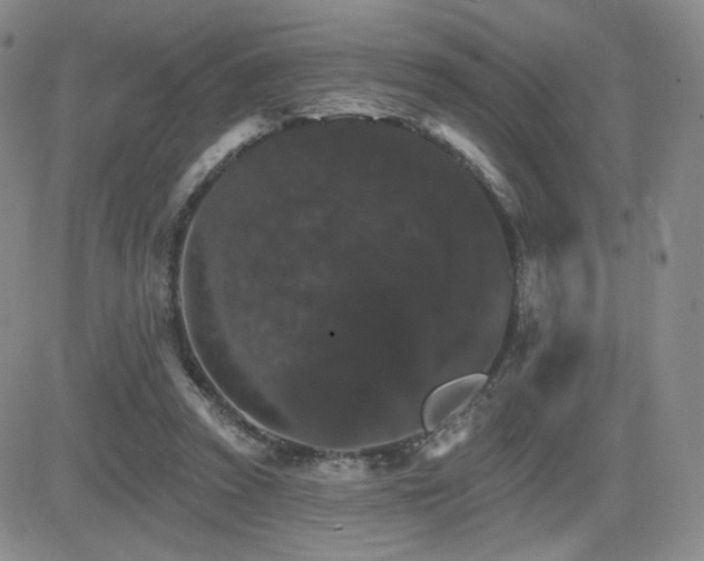 X0000084520353200702231140