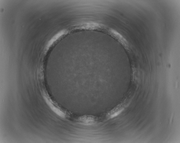 X0000084520354200702231140