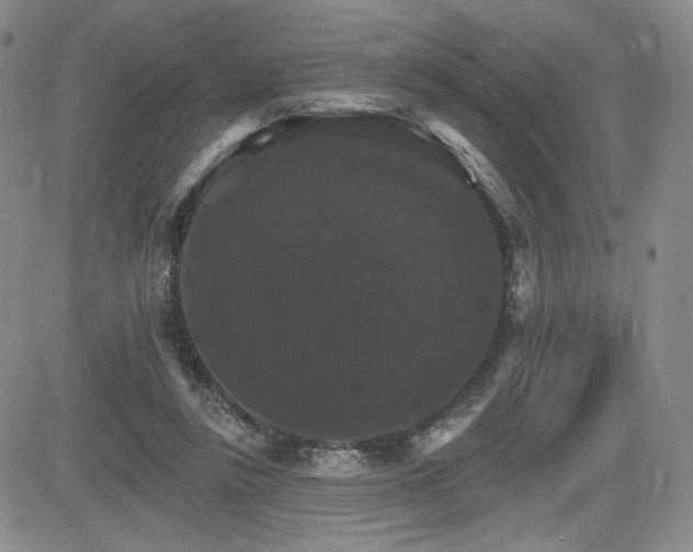 X0000084520355200702231140