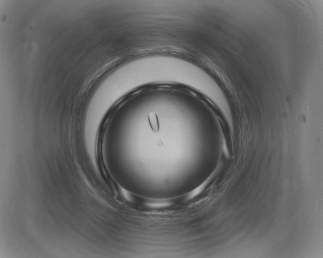 X0000084520356200702231140