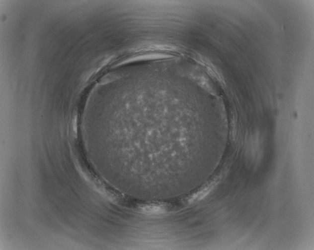 X0000084520358200702231140