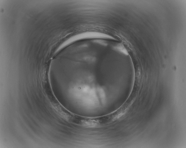 X0000084520359200702231140