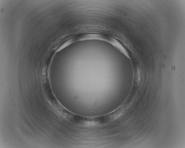 X0000084520360200702231140