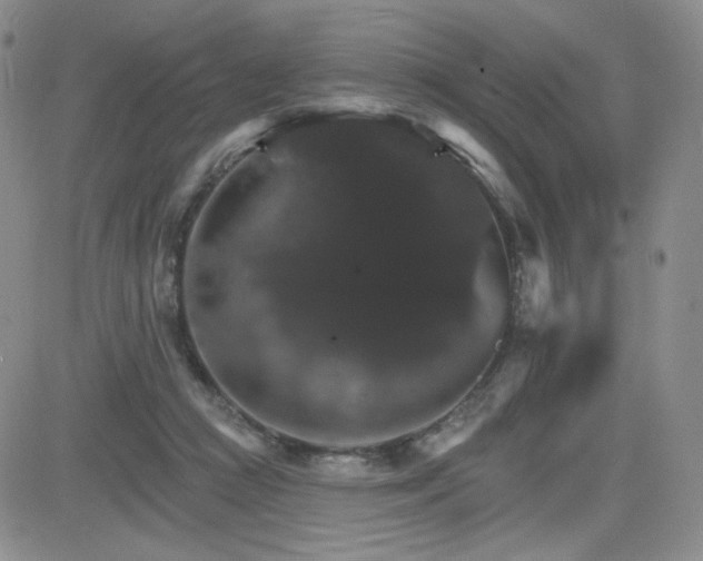 X0000084520361200702231140