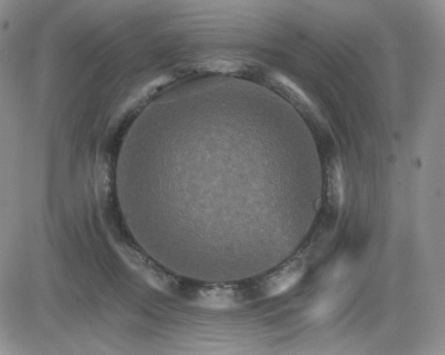 X0000084520362200702231140