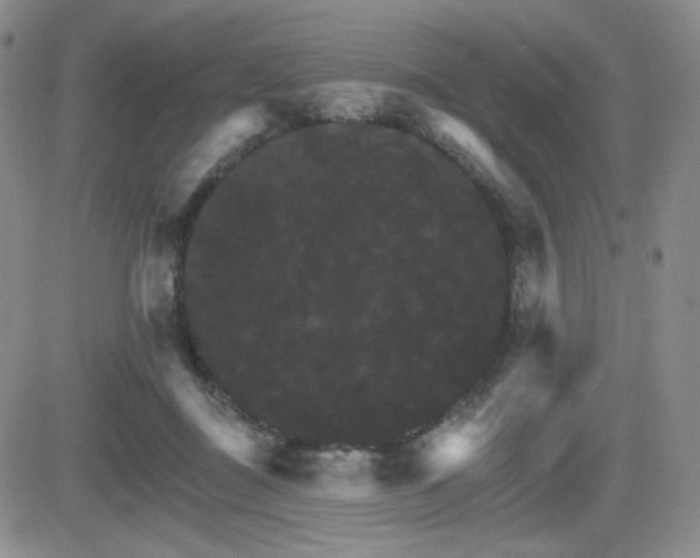 X0000084520363200702231140