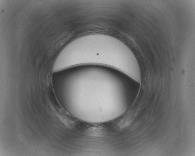 X0000084520364200702231141