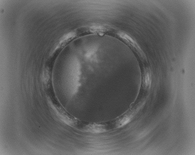 X0000084520367200702231141