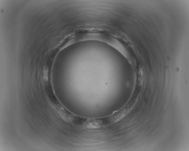 X0000084520368200702231141