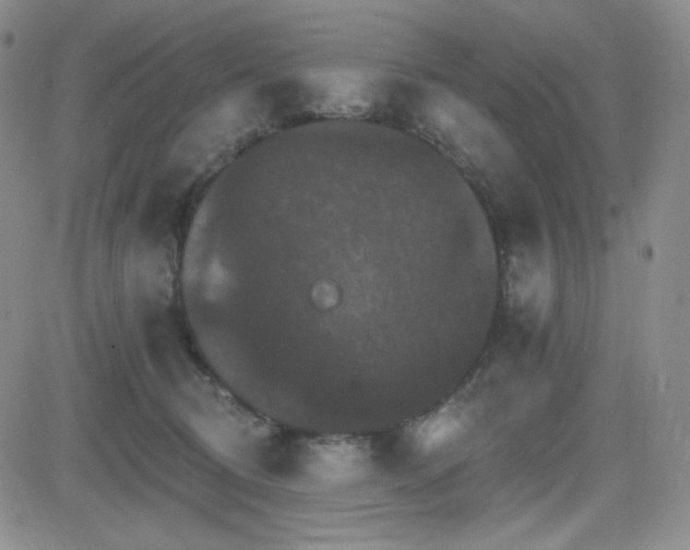 X0000084520370200702231141