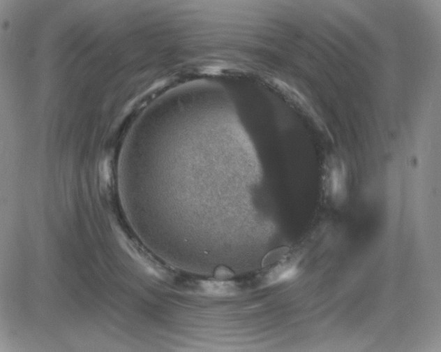 X0000084520371200702231141