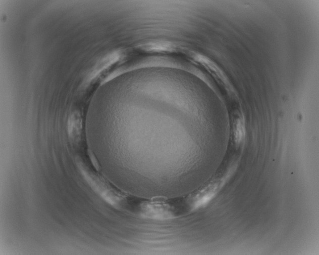 X0000084520372200702231141