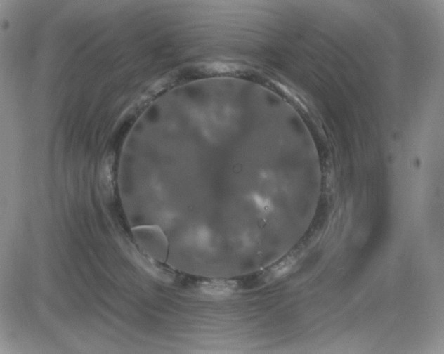 X0000084520373200702231141