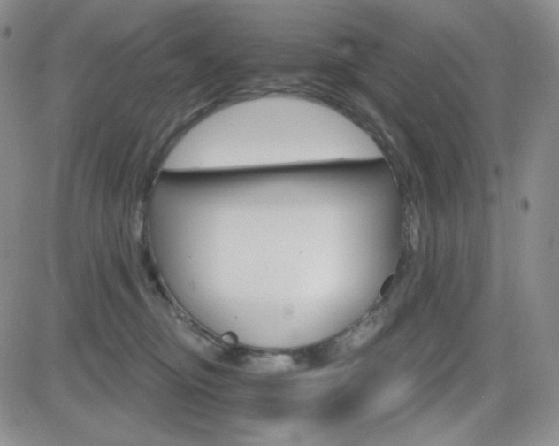 X0000084520374200702231141