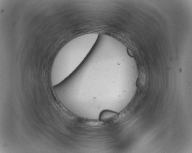 X0000084520375200702231141