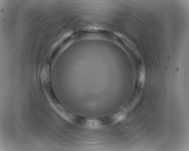 X0000084520376200702231141