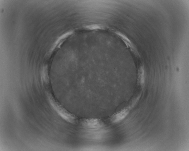 X0000084520377200702231141