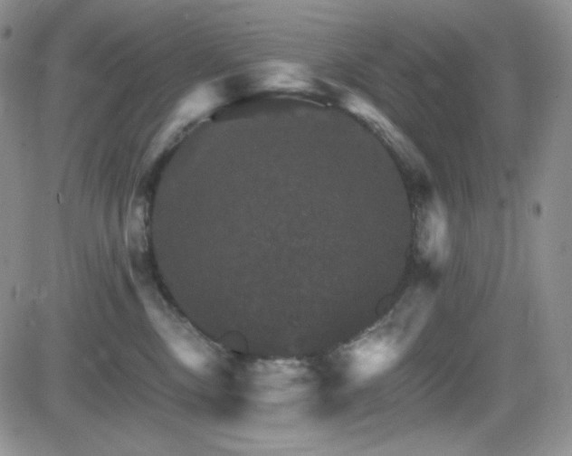 X0000084520378200702231141