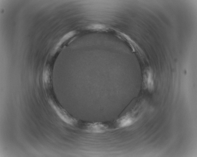 X0000084520379200702231141