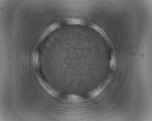 X0000084520380200702231141