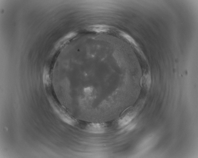 X0000084520381200702231141